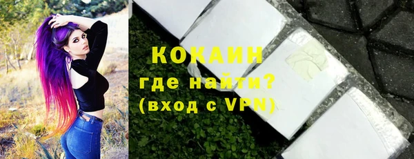 гидра Бронницы