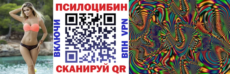 где купить наркоту  ОМГ ОМГ вход  Галлюциногенные грибы Psilocybe  Невель 